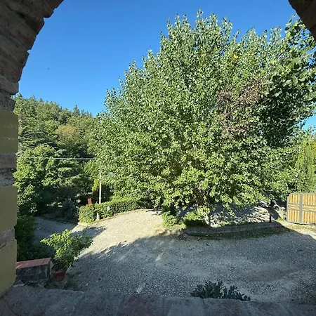 The Relax Barn *